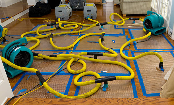Professional Burst Pipe Water Damage technician working in Laconia, NH